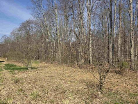 17 Poplar Drive Grafton WV 26354
