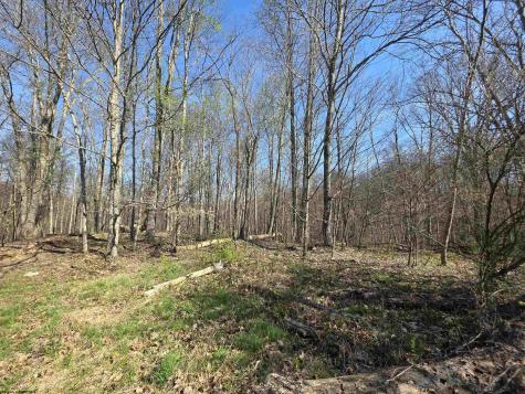 17 Poplar Drive Grafton WV 26354