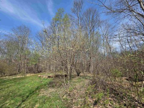 17 Poplar Drive Grafton WV 26354