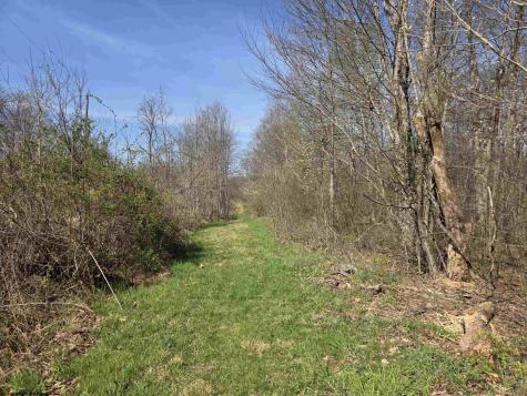 17 Poplar Drive Grafton WV 26354