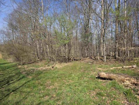 17 Poplar Drive Grafton WV 26354