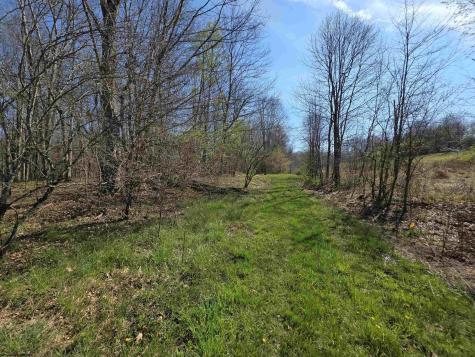 17 Poplar Drive Grafton WV 26354