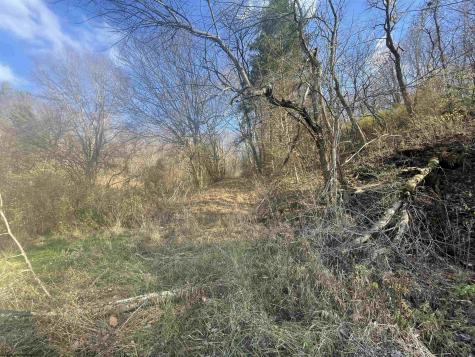 0 Clarksburg Road Buckhannon WV 26201