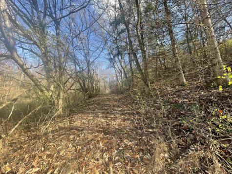 0 Clarksburg Road Buckhannon WV 26201