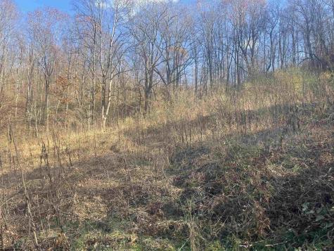 0 Clarksburg Road Buckhannon WV 26201