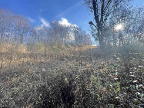 0 Clarksburg Road Buckhannon WV 26201