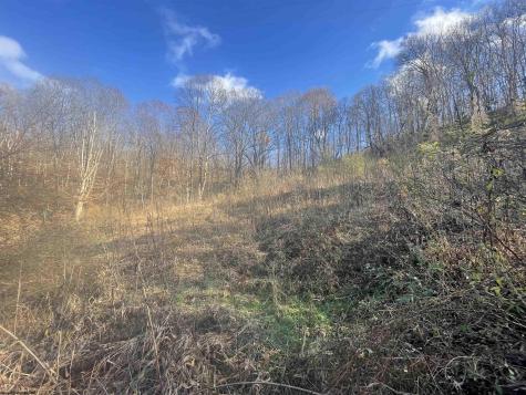 0 Clarksburg Road Buckhannon WV 26201
