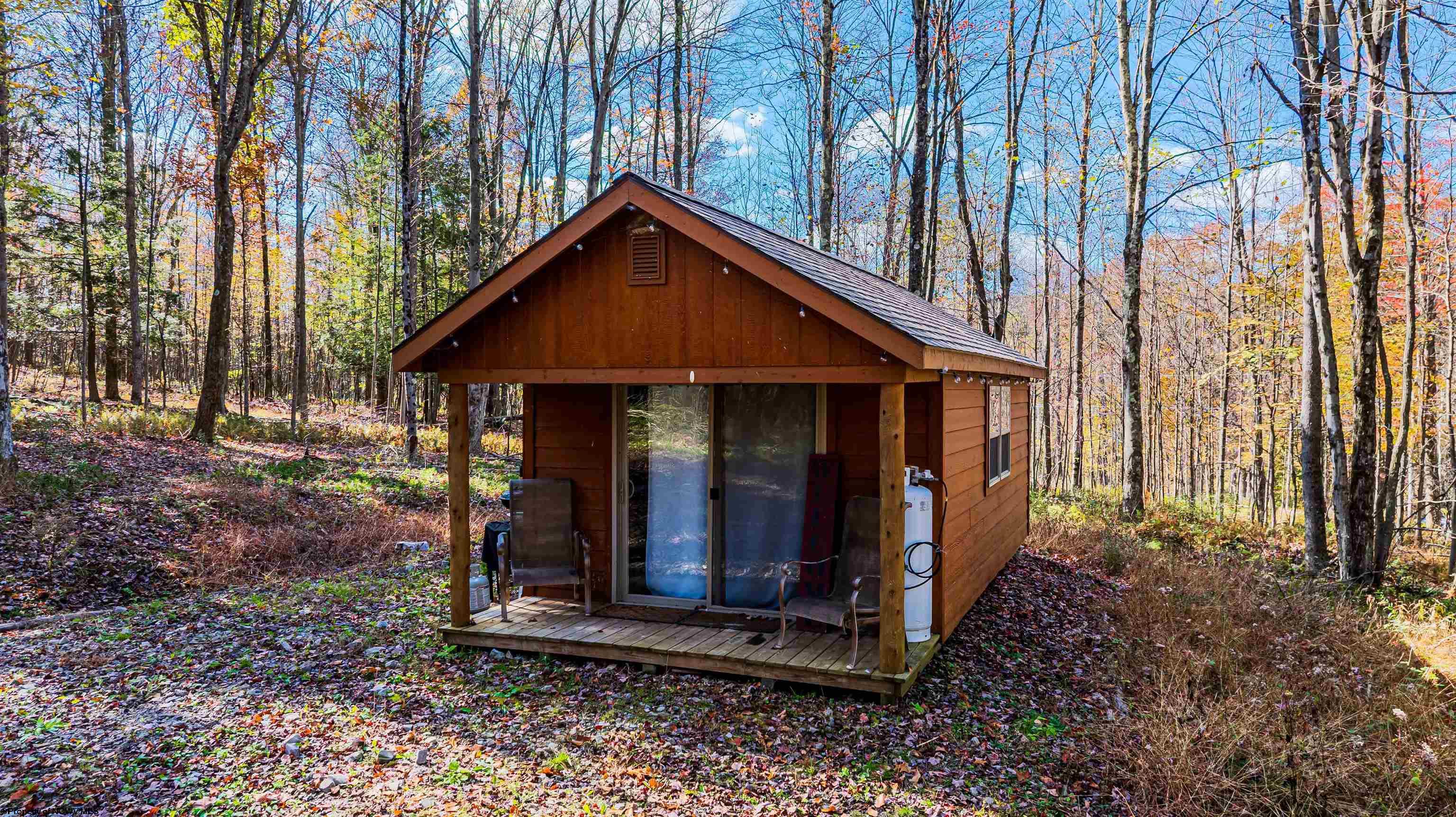 5 Laurel Loop Bruceton Mills WV 26525