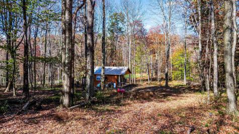 5 Laurel Loop Bruceton Mills WV 26525