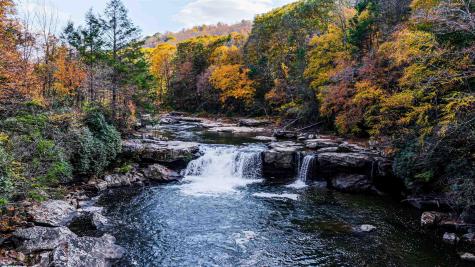 5 Laurel Loop Bruceton Mills WV 26525