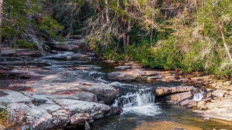 5 Laurel Loop Bruceton Mills WV 26525