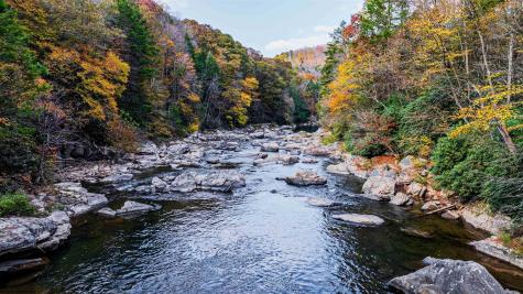 5 Laurel Loop Bruceton Mills WV 26525
