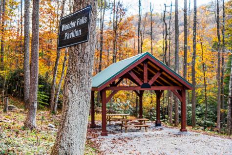 5 Laurel Loop Bruceton Mills WV 26525