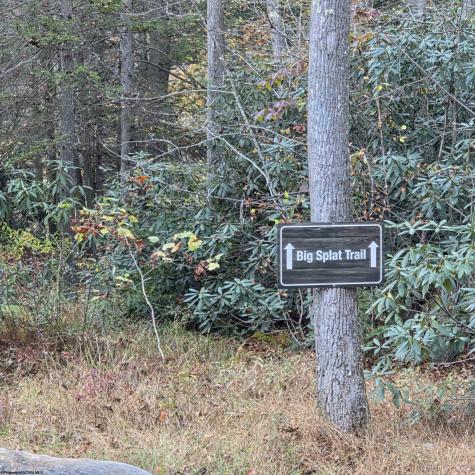 5 Laurel Loop Bruceton Mills WV 26525