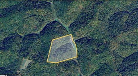 1742 Rush Run Road Burton WV 26562