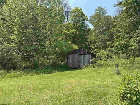 1742 Rush Run Road Burton WV 26562