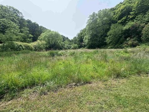 1742 Rush Run Road Burton WV 26562