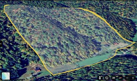 1742 Rush Run Road Burton WV 26562