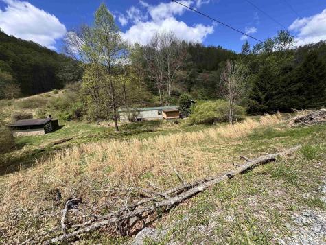 601 Shaw Hallow Road Wallace WV 26448-9999