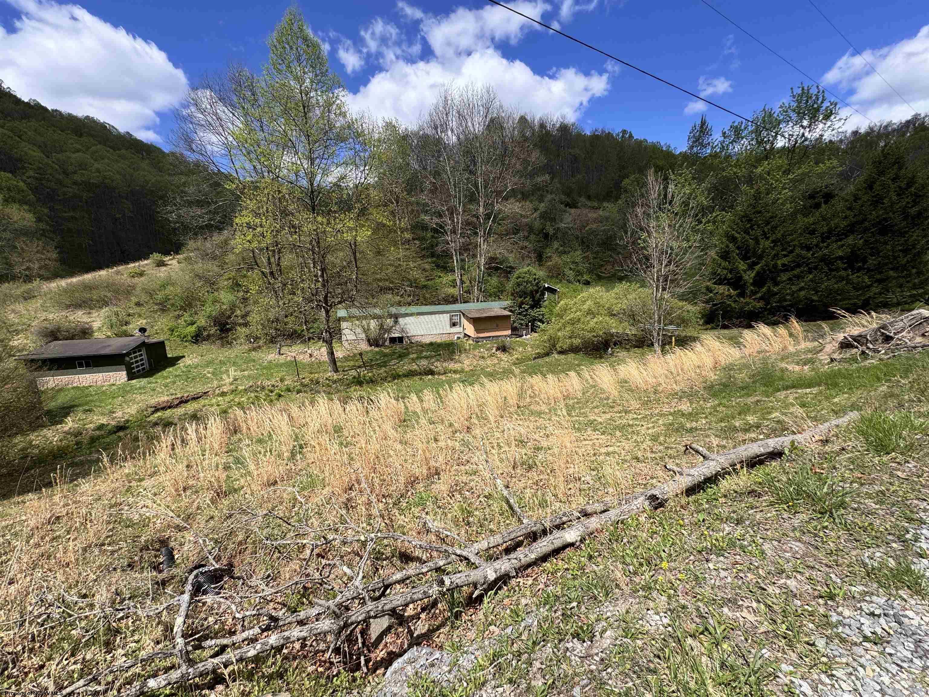 601 Shaw Hallow Road Wallace WV 26448-9999