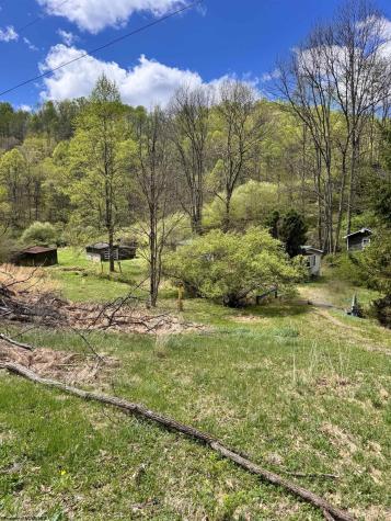 601 Shaw Hallow Road Wallace WV 26448-9999