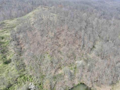 0 Cowskin Fork Road Duck WV 25063