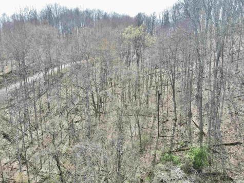 0 Cowskin Fork Road Duck WV 25063