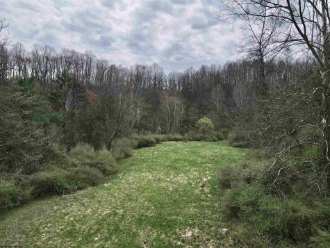 0 Cowskin Fork Road Duck WV 25063