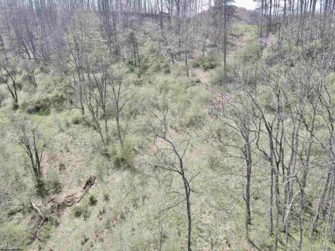 0 Cowskin Fork Road Duck WV 25063