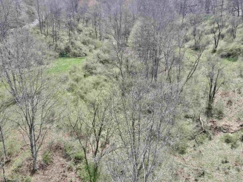 0 Cowskin Fork Road Duck WV 25063