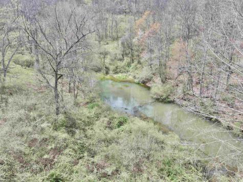 0 Cowskin Fork Road Duck WV 25063