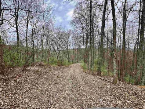 0 Cowskin Fork Road Duck WV 25063