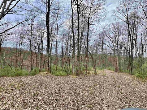 0 Cowskin Fork Road Duck WV 25063