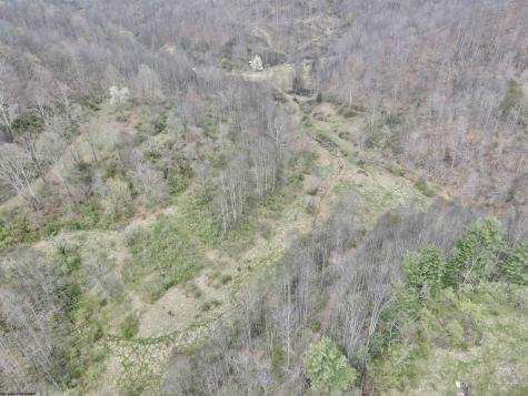 0 Cowskin Fork Road Duck WV 25063