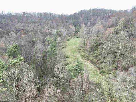 0 Cowskin Fork Road Duck WV 25063