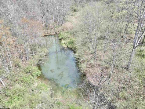 0 Cowskin Fork Road Duck WV 25063