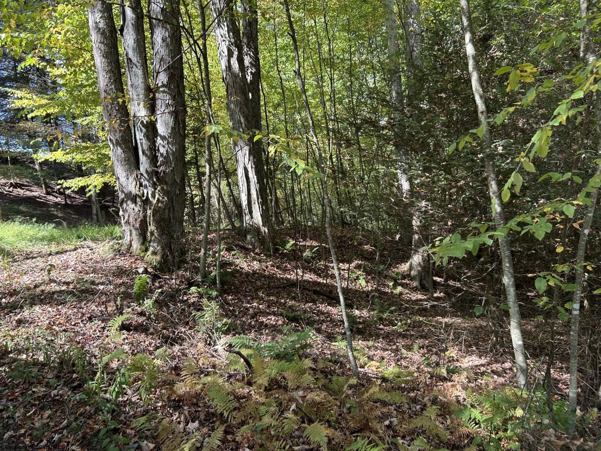 11 Copper Head Road Terra Alta WV 26764