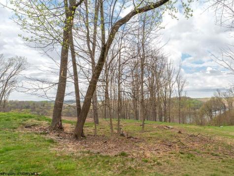 4 Ices Ferry Drive Morgantown WV 26508