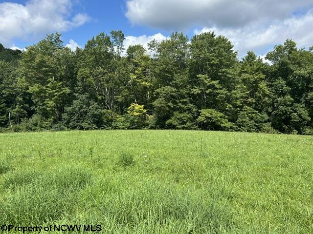 5 Long Run/cubana Road Tallmansville WV 26237