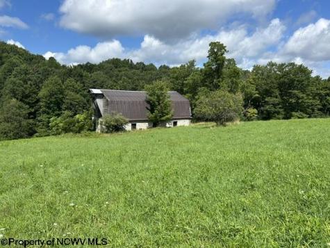 5 Long Run/cubana Road Tallmansville WV 26237