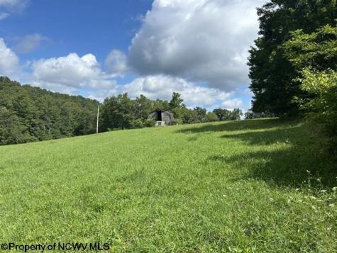 5 Long Run/cubana Road Tallmansville WV 26237