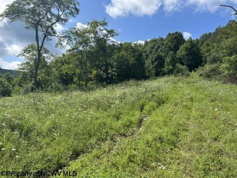 5 Long Run/cubana Road Tallmansville WV 26237