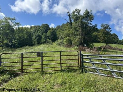 5 Long Run/cubana Road Tallmansville WV 26237