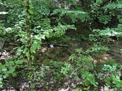 5 Long Run/cubana Road Tallmansville WV 26237