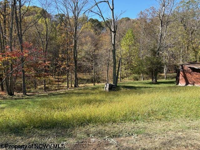 0 Fawn Meadow Drive Maidsville WV 26541