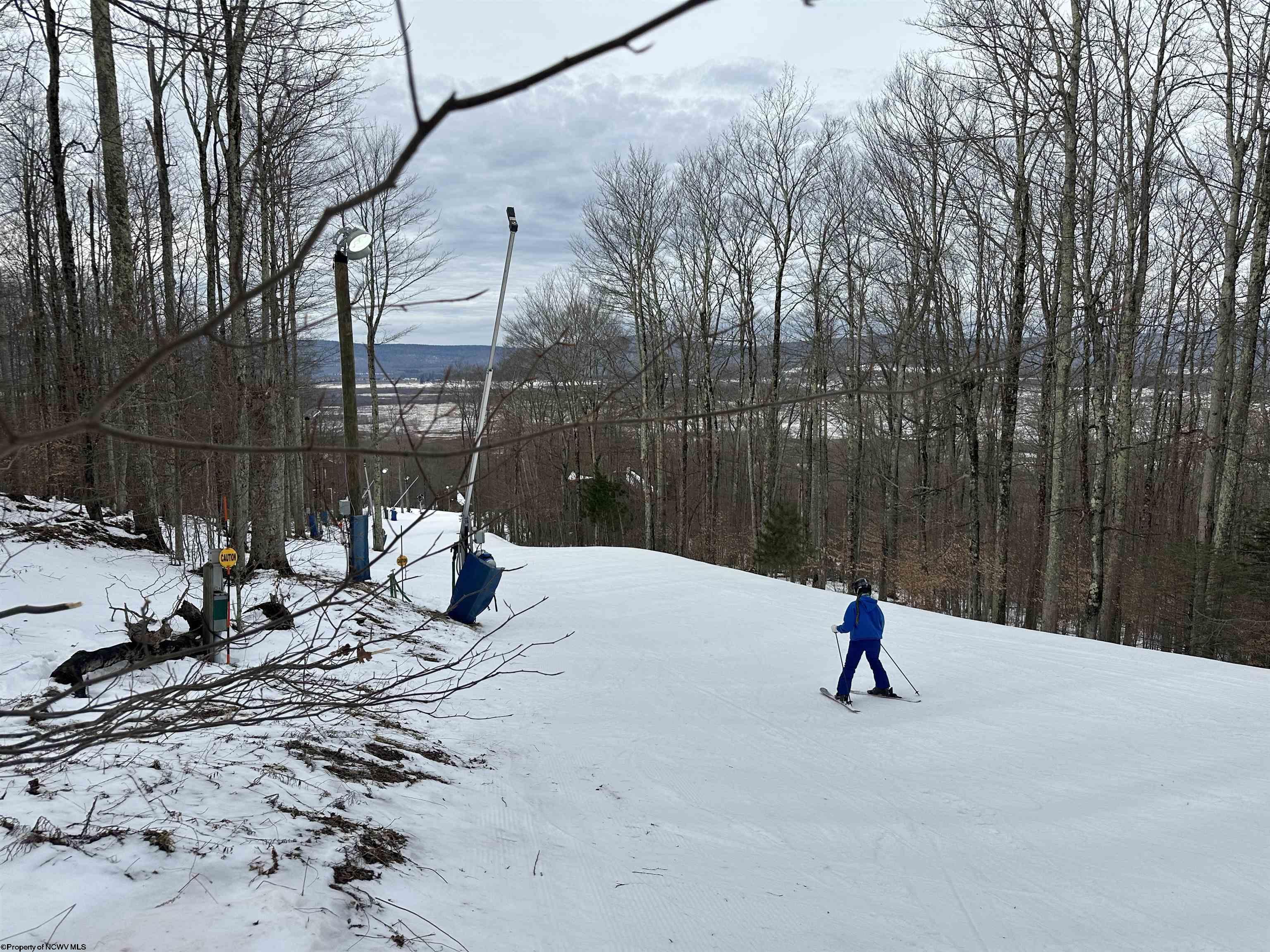 83 Hillside Drive Davis WV 26260