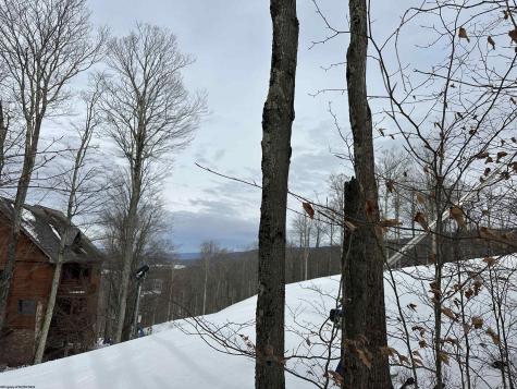 83 Hillside Drive Davis WV 26260