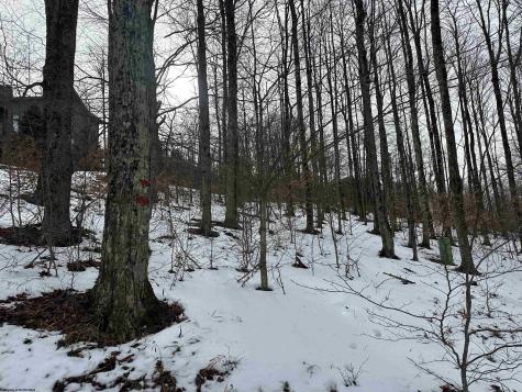 83 Hillside Drive Davis WV 26260