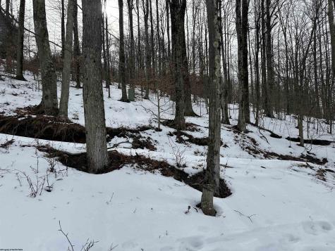 83 Hillside Drive Davis WV 26260