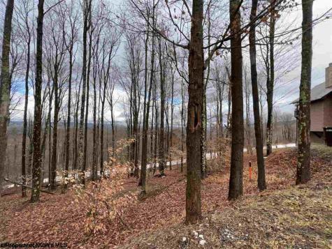 83 Hillside Drive Davis WV 26260